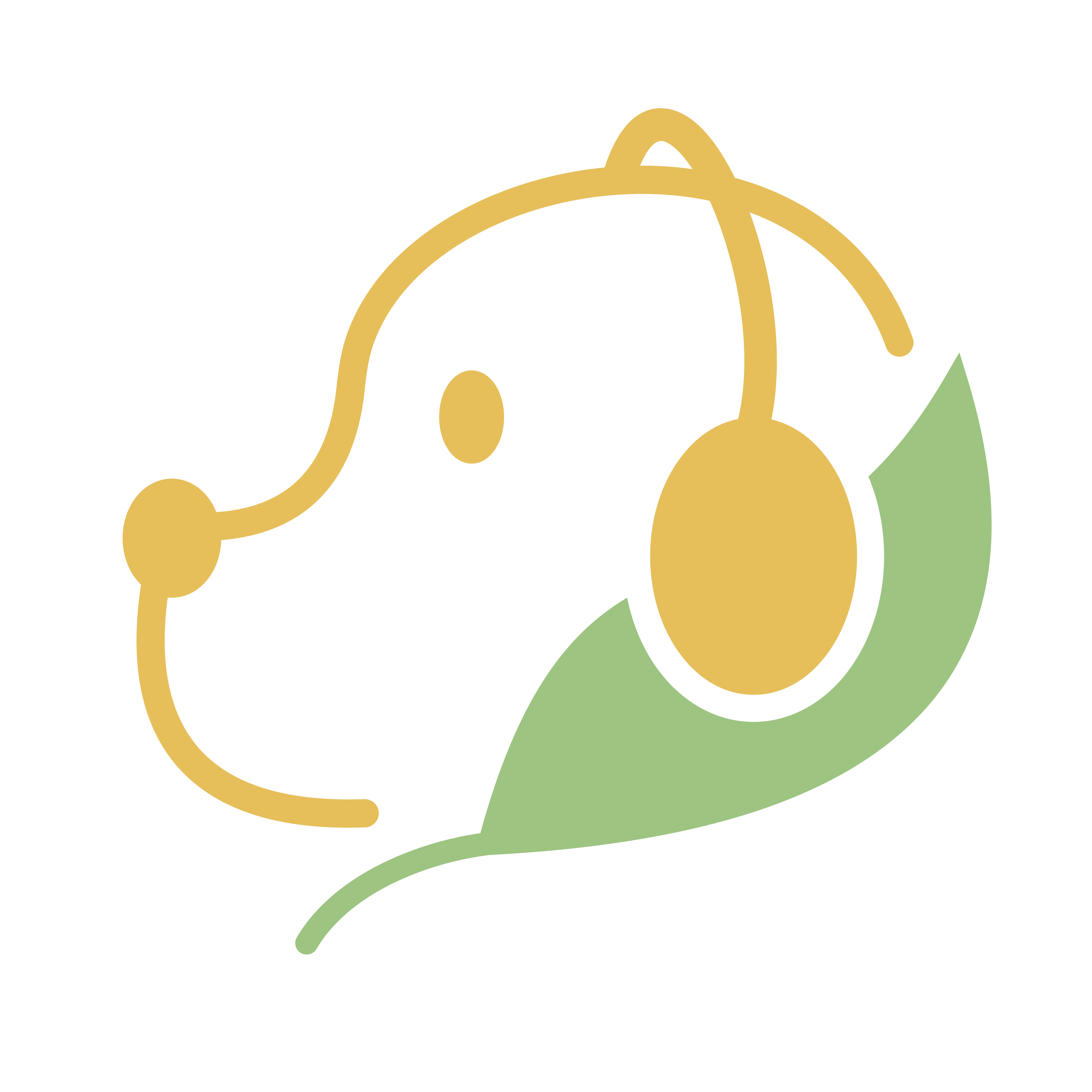 長照101-高雄市長期照顧暨生命教育協會